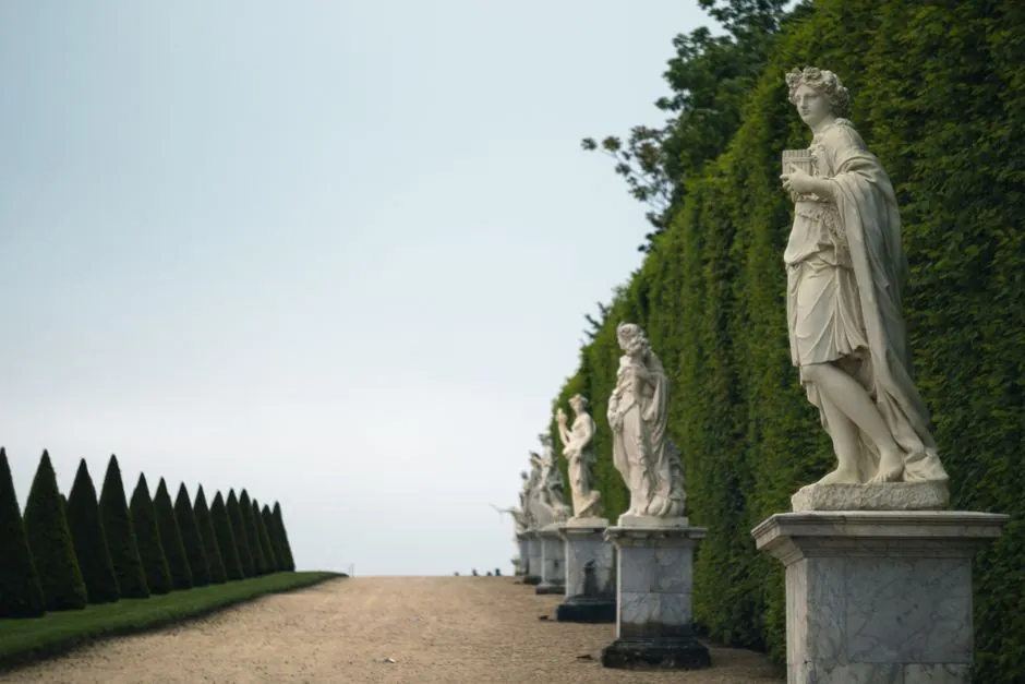 Plantations d'arbres et arbustes en Ile-de-France