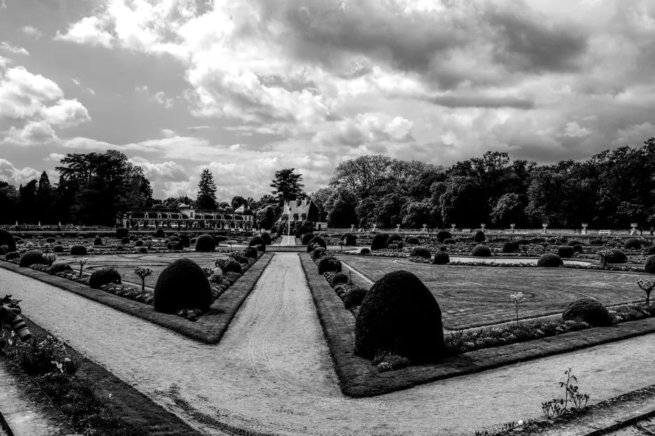 Jardin a la francaise soigne, parterre vegetal et allee taillee a Versailles